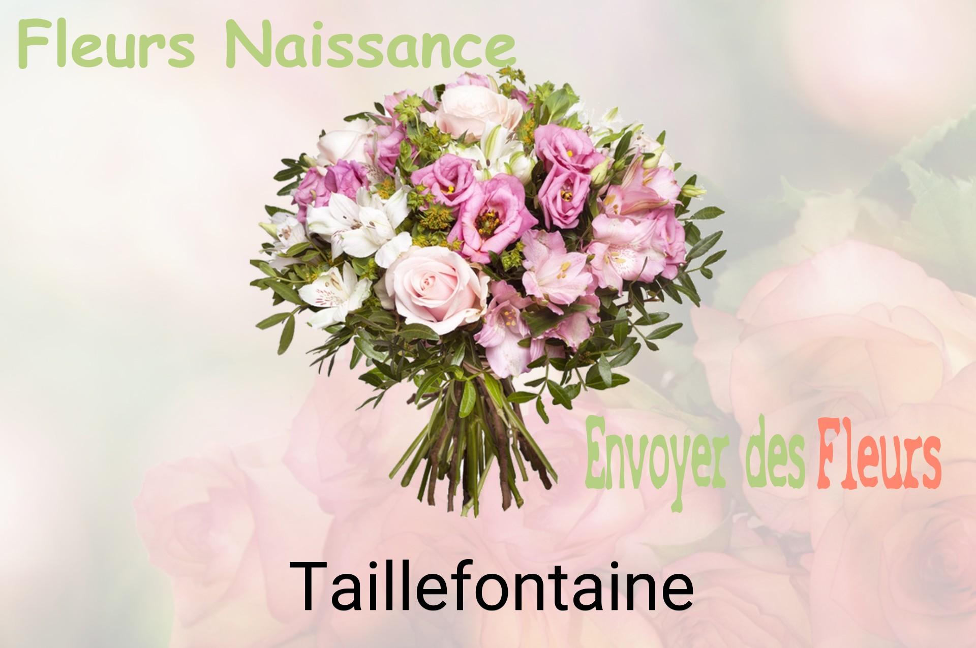 Bouquet de fleurs de naissance livré à Taillefontaine