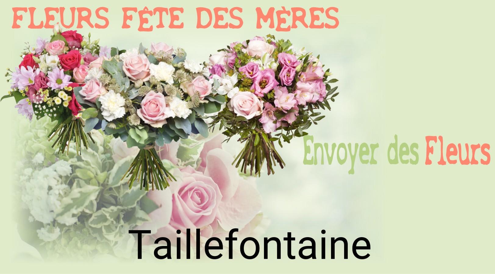Bouquet de Fête des Mères livré à Taillefontaine